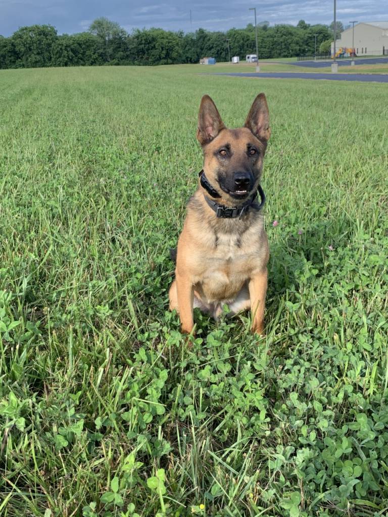 Christian County Sheriff's Office K9