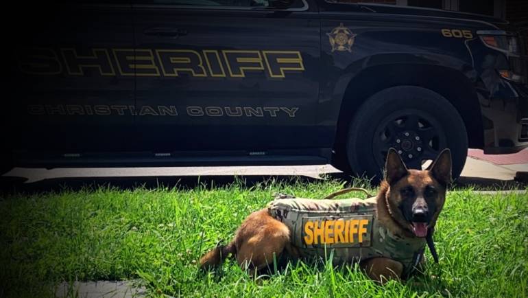 CCSO K9 Hamer Receives Donation of Body Armor